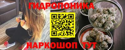 spice Можайск