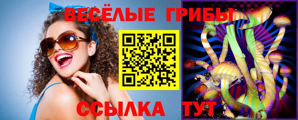 Псилоцибиновые грибы GOLDEN TEACHER Воронеж
